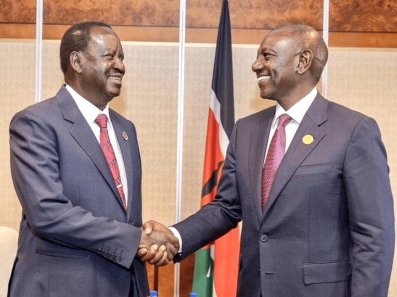 Majority of Kenyans oppose broad-based government - TIFA